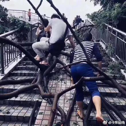 长江防总：今年长江中下游可能发生较严重的洪涝灾害